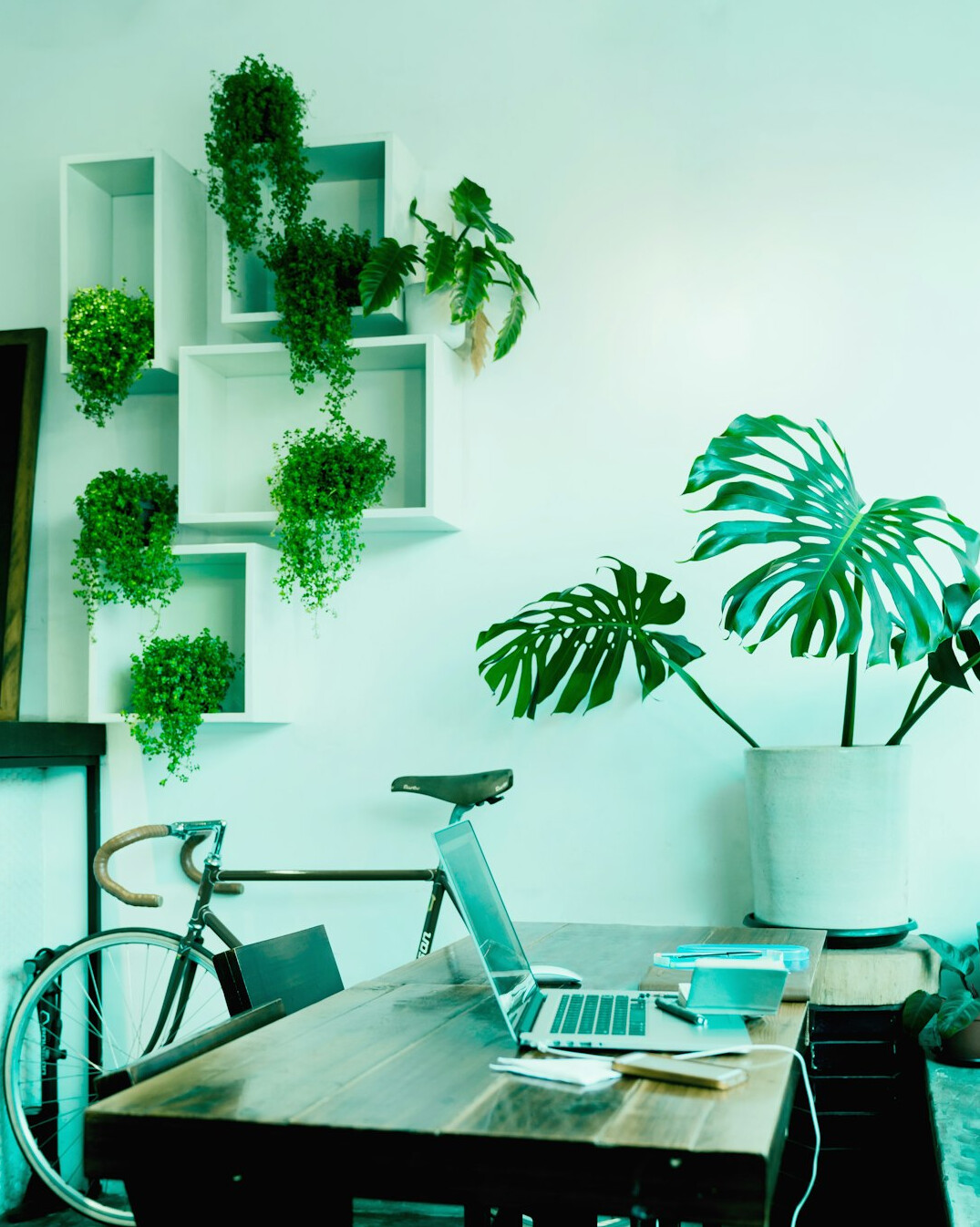 sustainable office with plants