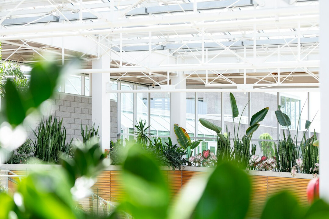 sustainable office with plants