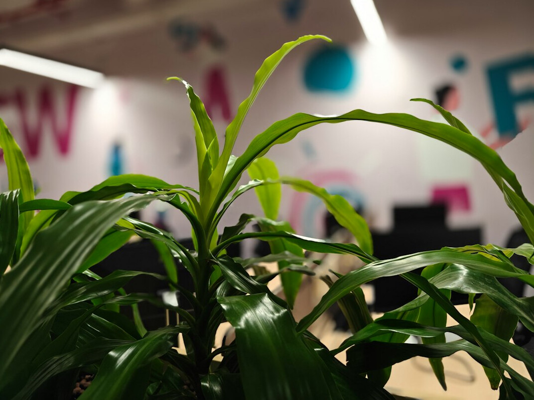 green office environment